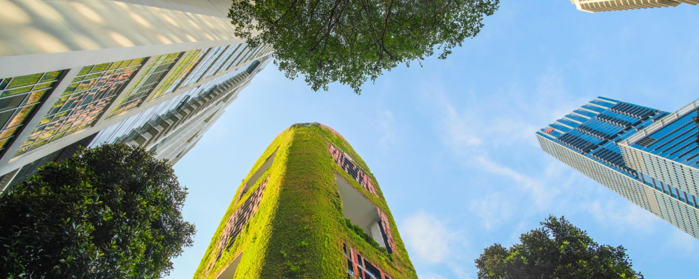 Nell’era delle imprese ESG, la “E” di Environment la fa da padrona.